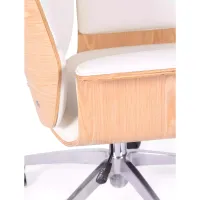 Kancelářská židle - Kancelářské židle - Mobelarium