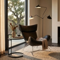 Emola Chair in Italian Leather : Fauteuil moderne au design haut de gamme