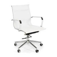 Chaise de bureau Mesh Lowback Special Edition | Chaise respirante et réglable