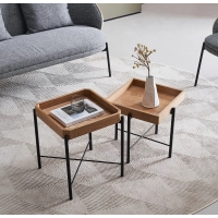 Tavolino Earth Set